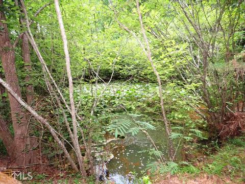 1006 984 E Silver Shoals Rd, Toccoa, GA 30577 photo 29
