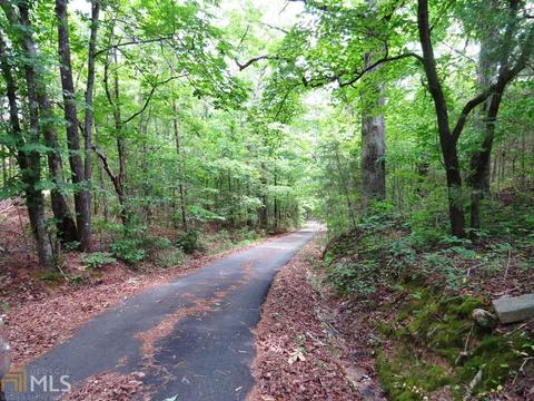 1006 984 E Silver Shoals Rd, Toccoa, GA 30577 photo 2