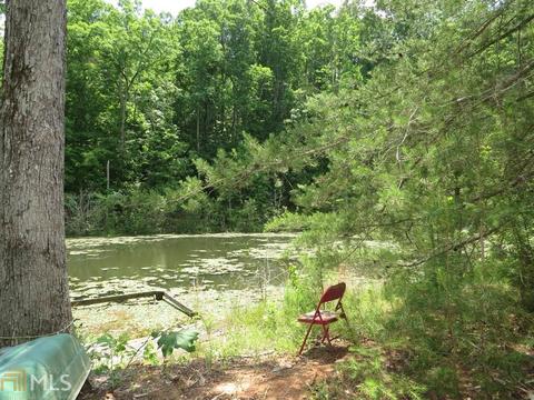 1006 984 E Silver Shoals Rd, Toccoa, GA 30577 photo 33
