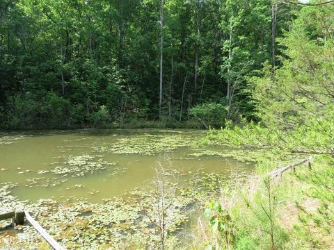 1006 984 E Silver Shoals Rd, Toccoa, GA 30577 photo 27