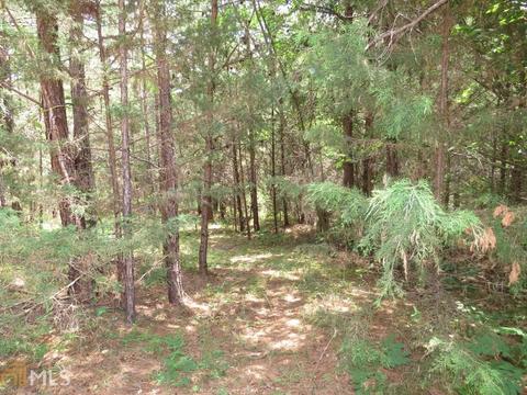 1006 984 E Silver Shoals Rd, Toccoa, GA 30577 photo 31