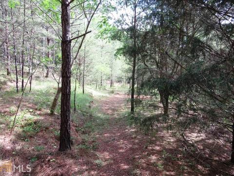 1006 984 E Silver Shoals Rd, Toccoa, GA 30577 photo 25