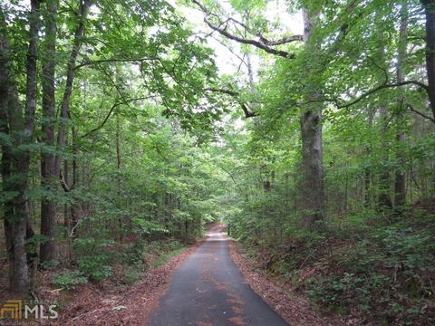 1006 984 E Silver Shoals Rd, Toccoa, GA 30577 photo 3