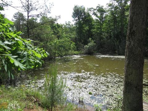 1006 984 E Silver Shoals Rd, Toccoa, GA 30577 photo 26