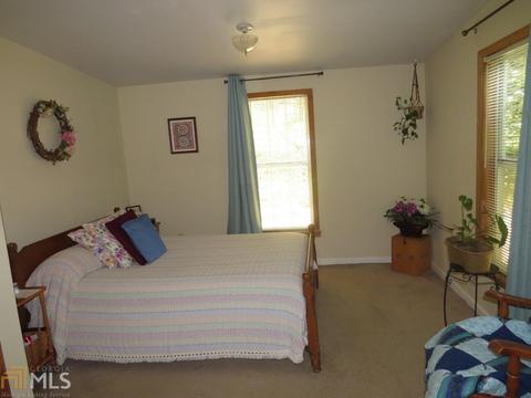1006 984 E Silver Shoals Rd, Toccoa, GA 30577 photo 7
