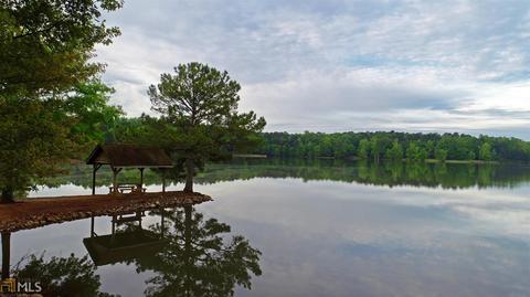 12190 Flannery Ln, Hampton, GA 30228 photo 18