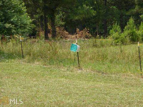 50 Boynton Rd, Hampton, GA 30228 photo 32
