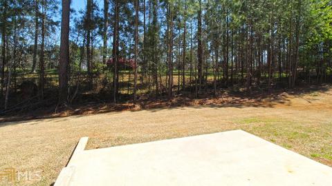 11832 Markham Way, Hampton, GA 30228 photo 32