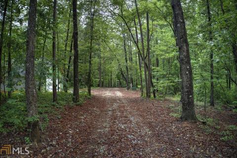 4908 N Highway 184, Toccoa, GA 30577 photo 31