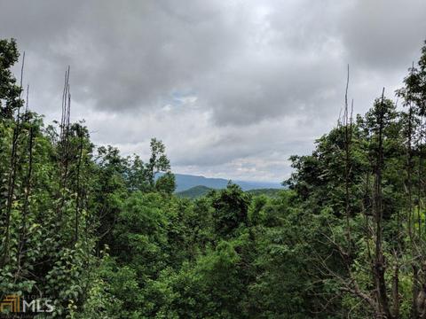46 Longview Rd, Jasper, GA 30143 photo 7