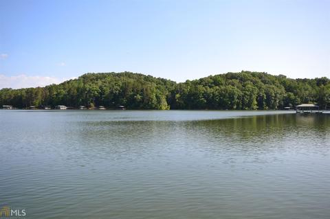 59 Waters Edge Ext, Martin, GA 30557 photo 36