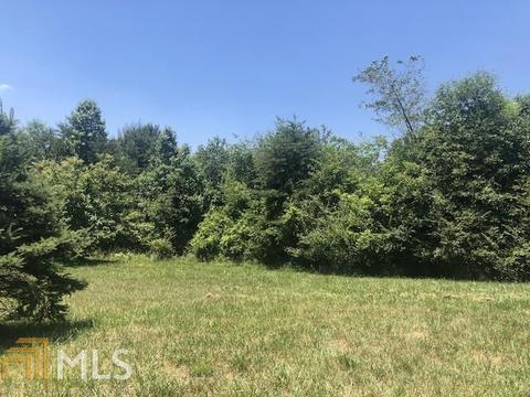 9215 Callus Mill Rd, Lula, GA 30554 photo 17
