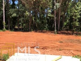 230 Wellbrook Dr, Covington, GA 30016 photo 10