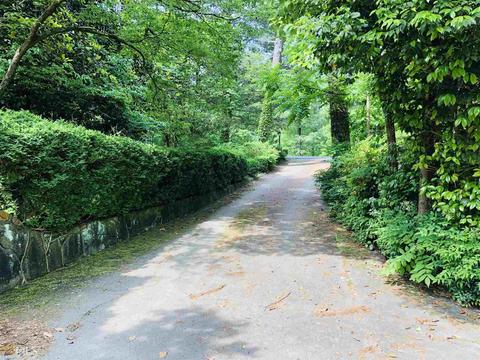 858 Chase Rd, Cornelia, GA 30531 photo 21