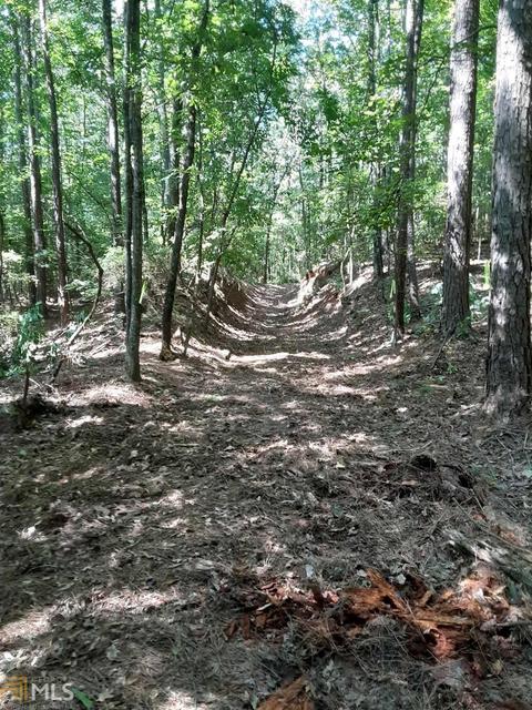920 Old School Rd, Lagrange, GA 30240 photo 21