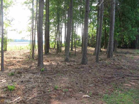2989 H D Atha Rd, Covington, GA 30014 photo 3