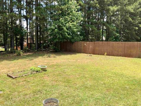 219 River View Ct, Hampton, GA 30228 photo 30