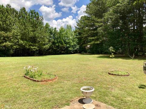 219 River View Ct, Hampton, GA 30228 photo 23