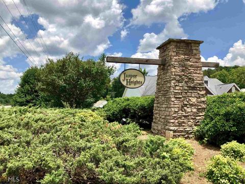 219 River View Ct, Hampton, GA 30228 photo 32