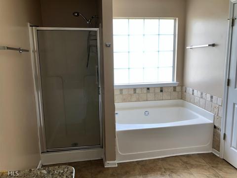 219 River View Ct, Hampton, GA 30228 photo 12