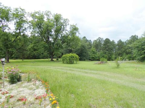 155 Wison Rd, Bartow, GA 30413 photo 13