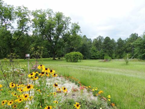 155 Wison Rd, Bartow, GA 30413 photo 12