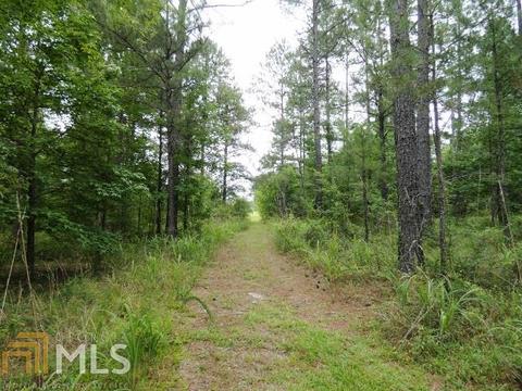 155 Wison Rd, Bartow, GA 30413 photo 35