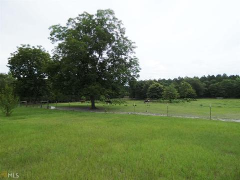 155 Wison Rd, Bartow, GA 30413 photo 8