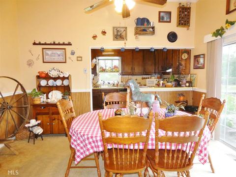 155 Wison Rd, Bartow, GA 30413 photo 27