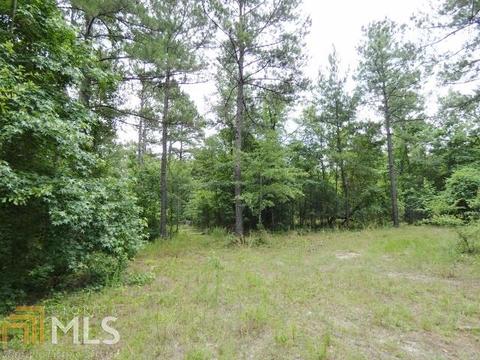 155 Wison Rd, Bartow, GA 30413 photo 36