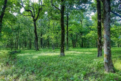 4350 Monument Rd, Jasper, GA 30143 photo 10