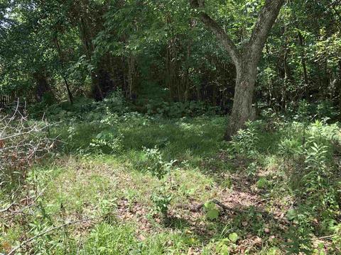 466 College St, Cuthbert, GA 39840 photo 1