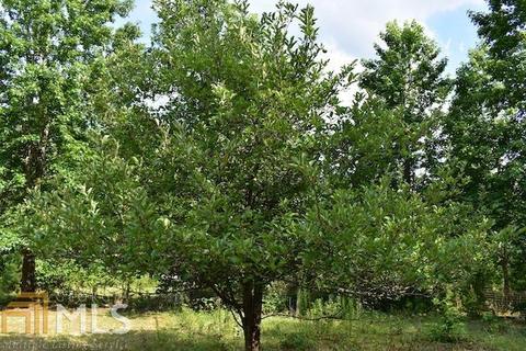 642 Deer Path Ln, Clarkesville, GA 30523 photo 29