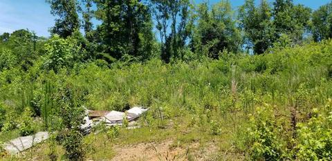 125 Thomas Rd, Waco, GA 30182 photo 7