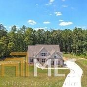860 Smallwood Trce, Hampton, GA 30228 photo 16