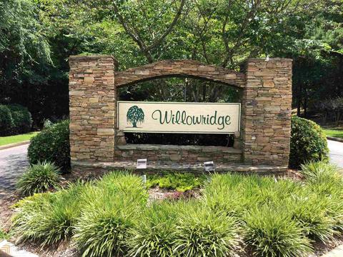 365 Weeping Willow Way, Tyrone, GA 30290 photo 35
