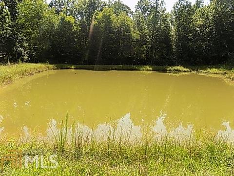 1682 Simpson Rd, Franklin, GA 30217 photo 19