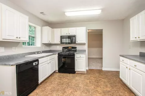 10902 Paladin Dr, Hampton, GA 30228 photo 9