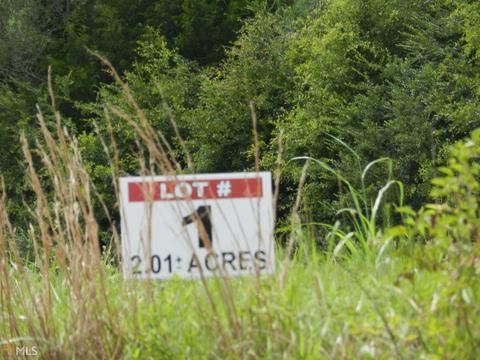 0 Rocky Creek Rd, Hampton, GA 30228 photo 3