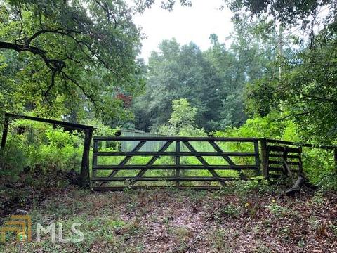 700 Prospect Rd, Carnesville, GA 30521 photo 3