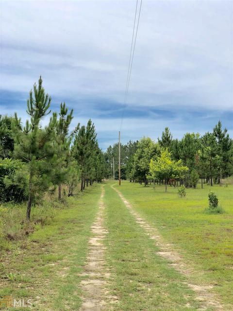 2590 Settlement Rd, Register, GA 30452 photo 5