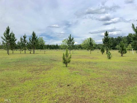 2590 Settlement Rd, Register, GA 30452 photo 4