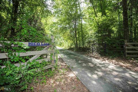 13300 Panhandle Rd, Hampton, GA 30228 photo 4