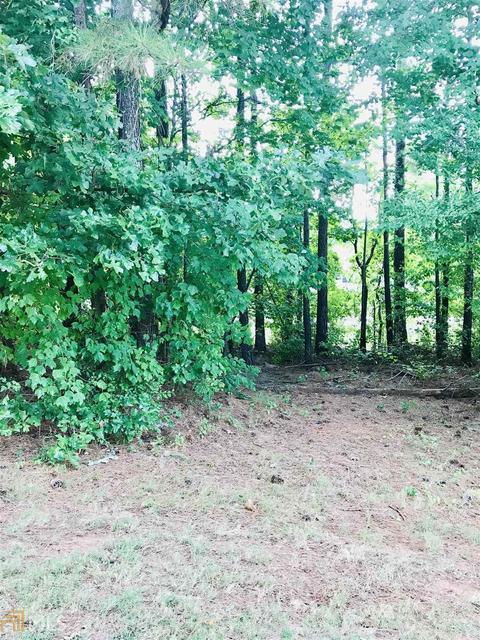 1058 Misty Meadows Pt, Hampton, GA 30228 photo 33