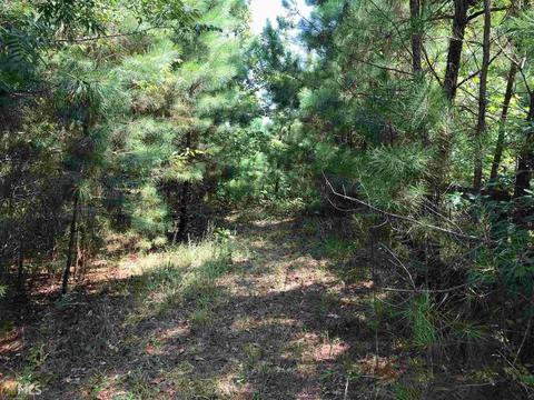 11698 Henderson Mtn, Fairmount, GA 30139 photo 5