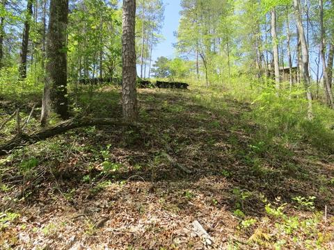 112 Timber Ridge Trl, Toccoa, GA 30577 photo 9