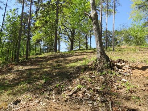 112 Timber Ridge Trl, Toccoa, GA 30577 photo 10