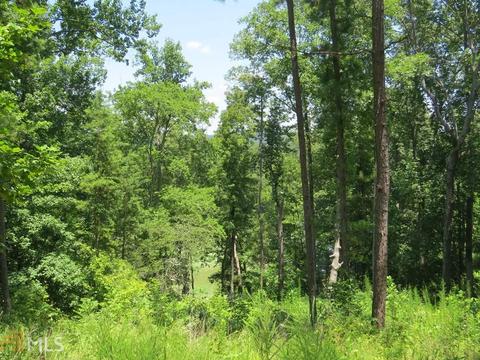 112 Timber Ridge Trl, Toccoa, GA 30577 photo 25