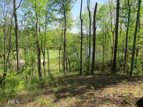 112 Timber Ridge Trl, Toccoa, GA 30577 photo 4