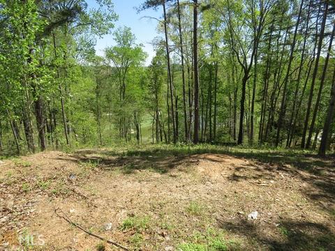 112 Timber Ridge Trl, Toccoa, GA 30577 photo 6